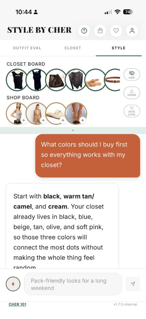 Cher recommending colors that work with a closet