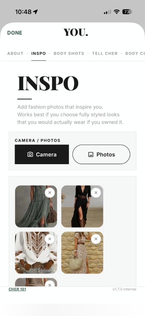 Cher inspo board with fashion photos